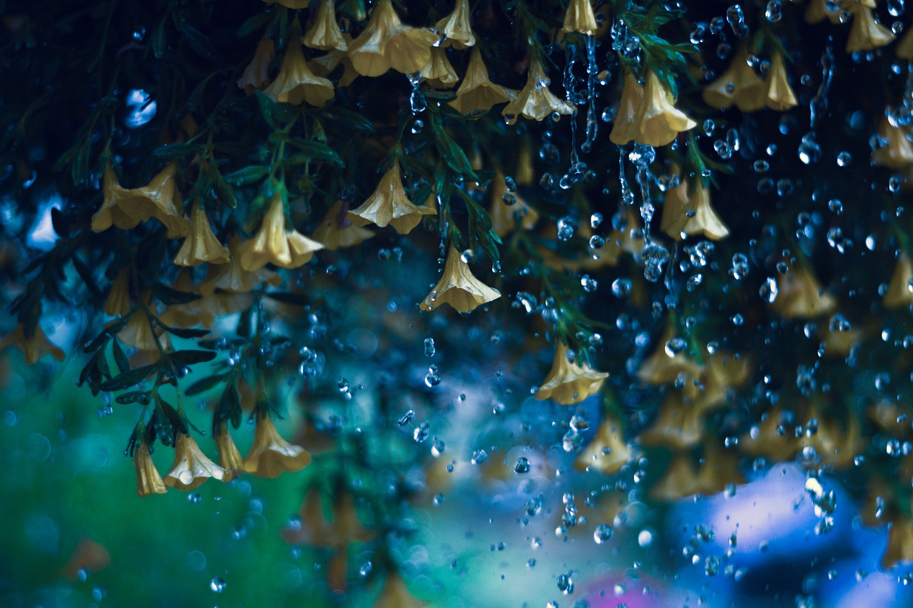 Rotten Spring A rotten spring... - Jacques Attali